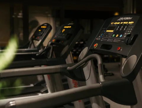 vibe gym carlia hotel